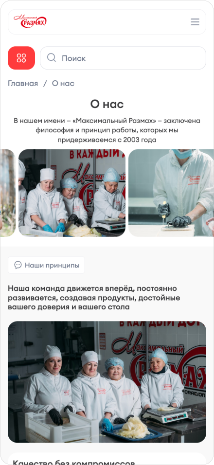 Максимальный размах