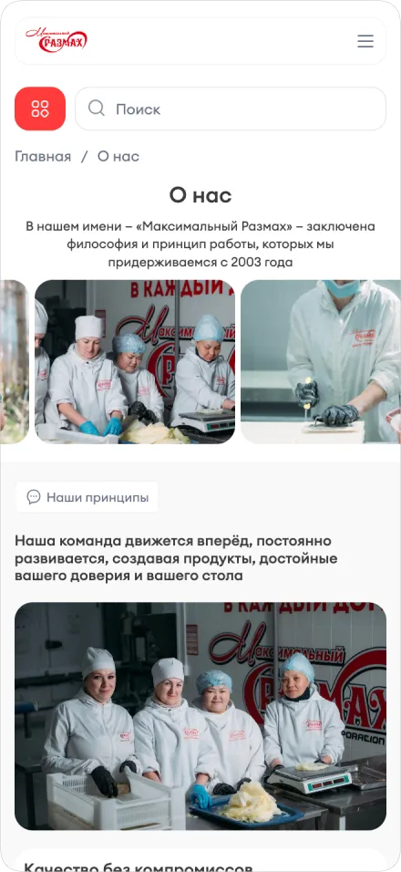 Максимальный размах